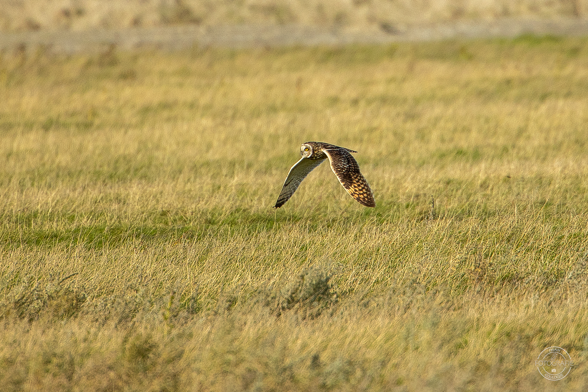 16 oktober 2022 162748 1R2A2674